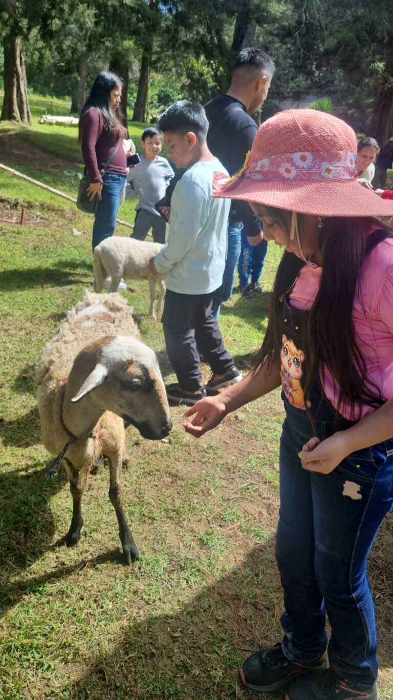 WhatsApp Image 2025-11-17 at 3.54.46 PM (1)