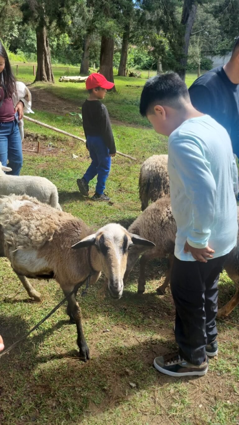 WhatsApp Image 2025-11-17 at 3.54.46 PM